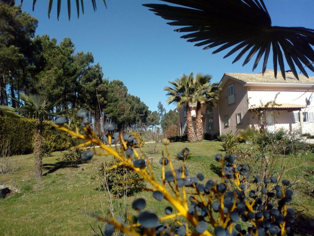 Casa Do Soito Hotel Mangualde Exterior photo